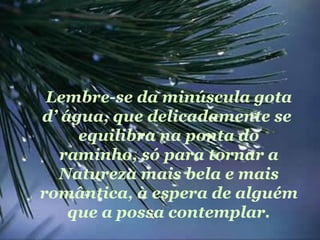 Lembre-se da minúscula gota d’ água, que delicadamente se  equilibra na ponta do raminho, só para tornar a Natureza mais bela e mais romântica, à espera de alguém que a possa contemplar. 