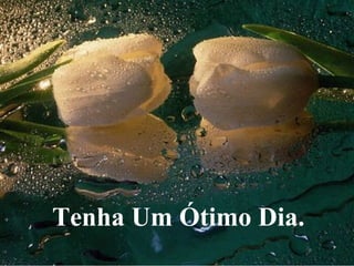 Tenha Um Ótimo Dia. 
