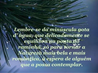 Lembre-se da minúscula gota
d’ água, que delicadamente se
     equilibra na ponta do
   raminho, só para tornar a
  Natureza mais bela e mais
romântica, à espera de alguém
    que a possa contemplar.
 