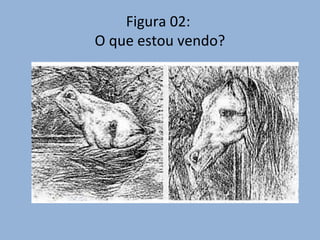 Figura 02:
O que estou vendo?