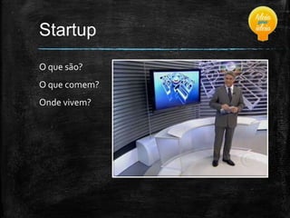 Startup
O que são?

O que comem?
Onde vivem?

 