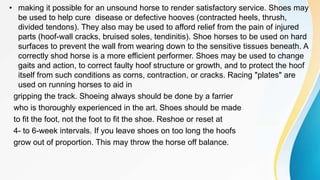• making it possible for an unsound horse to render satisfactory service. Shoes may
be used to help cure disease or defective hooves (contracted heels, thrush,
divided tendons). They also may be used to afford relief from the pain of injured
parts (hoof-wall cracks, bruised soles, tendinitis). Shoe horses to be used on hard
surfaces to prevent the wall from wearing down to the sensitive tissues beneath. A
correctly shod horse is a more efficient performer. Shoes may be used to change
gaits and action, to correct faulty hoof structure or growth, and to protect the hoof
itself from such conditions as corns, contraction, or cracks. Racing "plates" are
used on running horses to aid in
gripping the track. Shoeing always should be done by a farrier
who is thoroughly experienced in the art. Shoes should be made
to fit the foot, not the foot to fit the shoe. Reshoe or reset at
4- to 6-week intervals. If you leave shoes on too long the hoofs
grow out of proportion. This may throw the horse off balance.
 