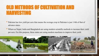 OLD METHODS OF CULTIVATION AND
HARVESTING
• Pakistan has low yield per acre that means the average crop in Pakistan is just 1/4th of that of
advance states.
• Where as Nepal, India and Bangladesh are using modern scientific methods to increase their yield
per acre. For this purpose, these states are using modern machines to improve their yield.
 
