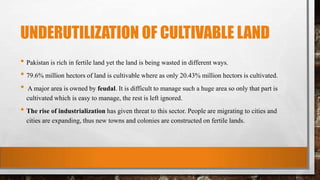 UNDERUTILIZATION OF CULTIVABLE LAND
• Pakistan is rich in fertile land yet the land is being wasted in different ways.
• 79.6% million hectors of land is cultivable where as only 20.43% million hectors is cultivated.
• A major area is owned by feudal. It is difficult to manage such a huge area so only that part is
cultivated which is easy to manage, the rest is left ignored.
• The rise of industrialization has given threat to this sector. People are migrating to cities and
cities are expanding, thus new towns and colonies are constructed on fertile lands.
 