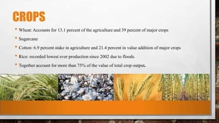 CROPS
• Wheat: Accounts for 13.1 percent of the agriculture and 39 percent of major crops
• Sugarcane
• Cotton: 6.9 percent stake in agriculture and 21.4 percent in value addition of major crops
• Rice: recorded lowest ever production since 2002 due to floods.
• Together account for more than 75% of the value of total crop output.
 