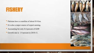 FISHERY
• Pakistan have a coastline of about 814 km.
• It is also a major source of export earning.
• Accounting for only 0.4 percent of GDP.
• Growth rate is 1.9 percent in 2010-11.
 