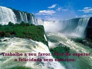 Trabalhe a seu favor. Pare de esperar a felicidade sem esforços.   
