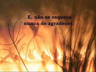 E, não se esqueça nunca de agradecer.   