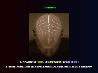 Necessitamos de  ambos :  do  lado esquerdo e  do  lado direito  O truque é: saber como nos mover fluidamente de um lado para o outro com facilidade.  A verdade é: 