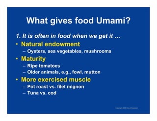 Exploring Umami: The Fifth Taste