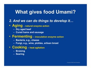 Exploring Umami: The Fifth Taste