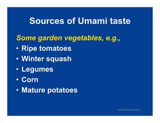 Exploring Umami: The Fifth Taste