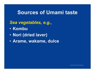 Exploring Umami: The Fifth Taste