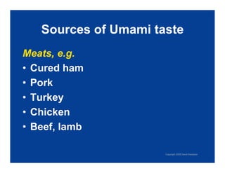 Exploring Umami: The Fifth Taste