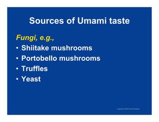 Exploring Umami: The Fifth Taste