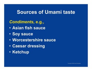 Exploring Umami: The Fifth Taste