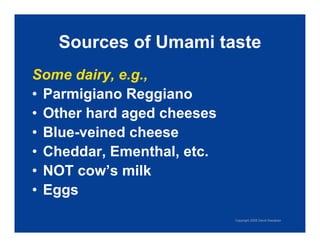 Exploring Umami: The Fifth Taste