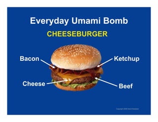 Exploring Umami: The Fifth Taste