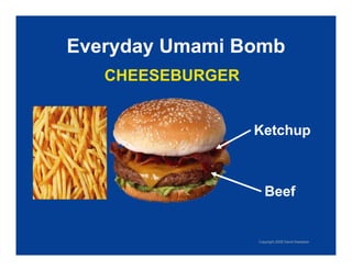 Exploring Umami: The Fifth Taste