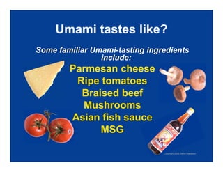 Exploring Umami: The Fifth Taste