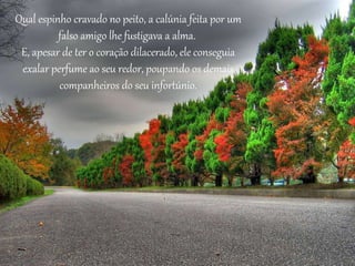 Qual espinho cravado no peito, a calúnia feita por um 
falso amigo lhe fustigava a alma. 
E, apesar de ter o coração dilacerado, ele conseguia 
exalar perfume ao seu redor, poupando os demais 
companheiros do seu infortúnio. 
 