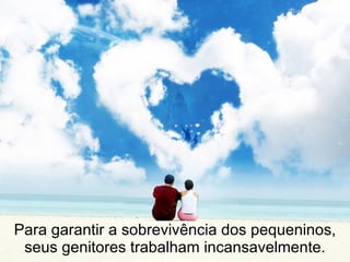 Para garantir a sobrevivência dos pequeninos,
 seus genitores trabalham incansavelmente.
 