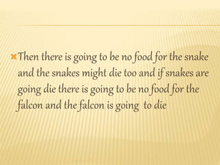 Then there is going to be no food for the snake
and the snakes might die too and if snakes are
going die there is going to be no food for the
falcon and the falcon is going to die
 