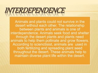 INTERDEPENDENCE
Animals and plants could not survive in the
desert without each other. The relationship
between plants and animals is one of
interdependence. Animals seek food and shelter
through the desert plants and plants need
animals to help them pollinate and grow flowers.
According to scienctisist, animals are used in
both fertilizing and spreading plant seed
throughout the desert. These animals help to
maintain diverse plant life within the desert.
 