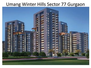 Umang Winter Hills Sector 77 Gurgaon
 
