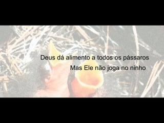 Deus dá alimento a todos os pássaros
         Mas Ele não joga no ninho
 