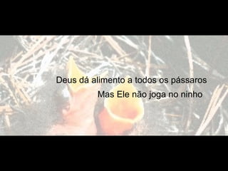 Deus dá alimento a todos os pássaros
Mas Ele não joga no ninho
 