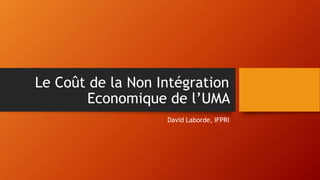 Le Coût de la Non Intégration
Economique de l’UMA
David Laborde, IFPRI

 