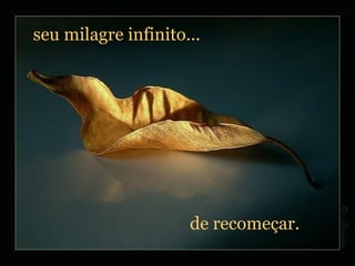 seu milagre infinito... de recomeçar. 