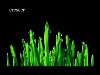 crescer , 