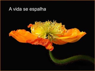 A vida se espalha
 