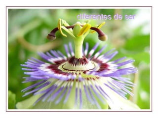 diferentes de ser
 