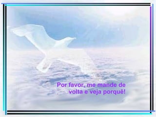 Por favor, me mande de volta e veja porquê! 