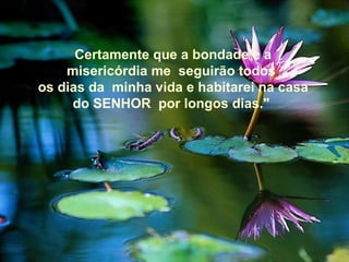 Certamente que a bondade e a misericórdia me  seguirão todos  os dias da  minha vida e habitarei na casa do SENHOR  por longos dias."  