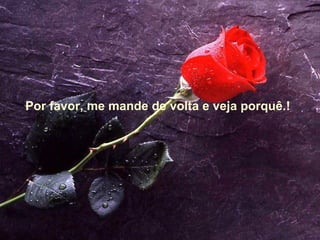 Por favor, me mande de volta e veja porquê.! 