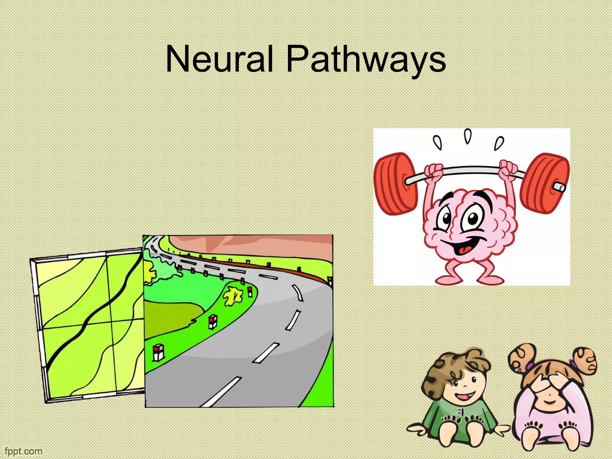 Neural Pathways
 