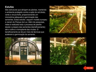 Estufas
São estruturas que abrigam as plantas, mantendo
o ambiente protegido contra a ação do sol direto,
vento e chuva forte, proporcionando um
microclima adequado à germinação das
sementes. Estas estufas seguem modelo europeu
e vieram do Parque da Luz. Além de pesquisas,
nelas é realizado todo o processo de plantio
desde o preparo das sementes (beneficiamento)
até o cultivo e transplante das mudas. O
beneficiamento se dá por meio de técnicas que
aceleram a germinação da semente.




                                                    VOLTAR
 