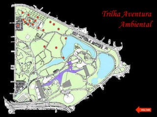 Trilha Aventura
      Ambiental




           VOLTAR
 