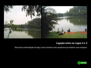 Ligação entre os Lagos 2 e 3
Área para contemplação do lago e das inúmeras aves aquáticas que habitam suas margens.




                                                                              VOLTAR
 