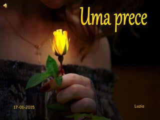 Luzia17-01-2015
 