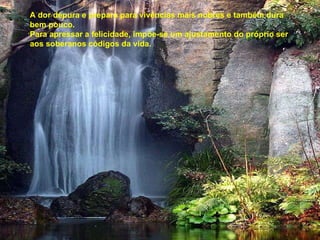 A dor depura e prepara para vivências mais nobres e também dura bem pouco. Para apressar a felicidade, impõe-se um ajustamento do próprio ser aos soberanos códigos da vida. 