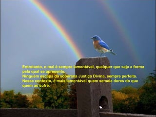 Entretanto, o mal é sempre lamentável, qualquer que seja a forma pela qual se apresente. Ninguém escapa da soberana Justiça Divina, sempre perfeita. Nesse contexto, é mais lamentável quem semeia dores do que quem as sofre. 
