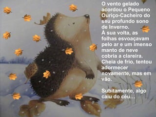 O vento gelado acordou o Pequeno Ouriço-Cacheiro do seu profundo sono de Inverno. À sua volta, as folhas esvoaçavam pelo ar e um imenso manto de neve cobria a clareira. Cheia de frio, tentou adormecer novamente, mas em vão. Subitamente, algo caiu do céu… 