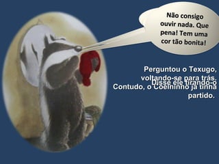 Perguntou o Texugo, voltando-se para trás. Contudo, o Coelhinho já tinha partido.  Disse ele tirando-o Não gostas dele? Este gorro não me serve! Não consigo ouvir nada. Que pena! Tem uma cor tão bonita! 