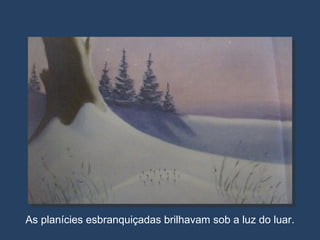 As planícies esbranquiçadas brilhavam sob a luz do luar. 