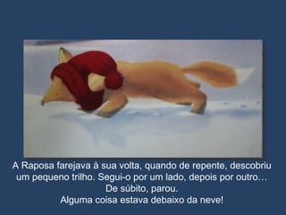 A Raposa farejava à sua volta, quando de repente, descobriu um pequeno trilho. Segui-o por um lado, depois por outro… De súbito, parou. Alguma coisa estava debaixo da neve! 